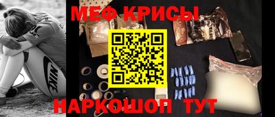 индика Кингисепп