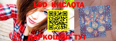 индика Кингисепп