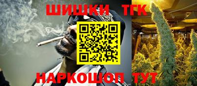 индика Кингисепп
