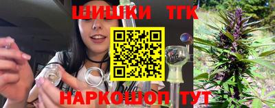 индика Кингисепп