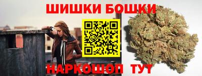 индика Кингисепп