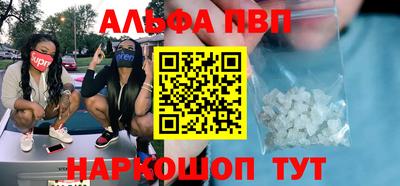 индика Кингисепп
