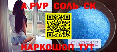 индика Кингисепп