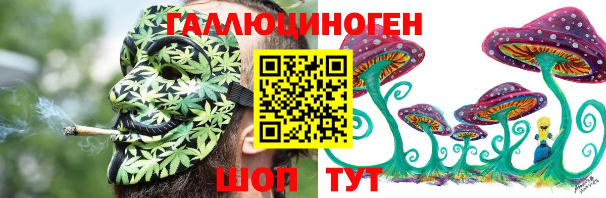 Галлюциногенные грибы ЛСД  Вход с VPN  Кувандык  Псилоцибиновые грибы прущие грибы 